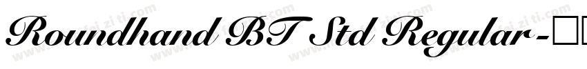 Roundhand BT Std Regular字体转换